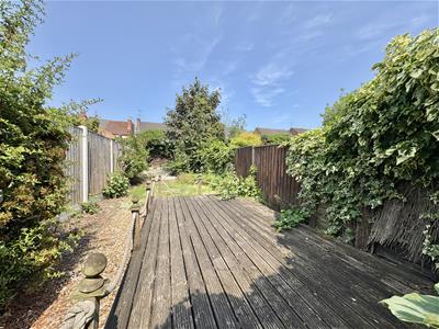 Picture 13